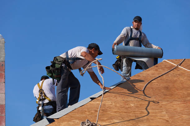 Best New Roof Installation  in Crab Orchard, WV